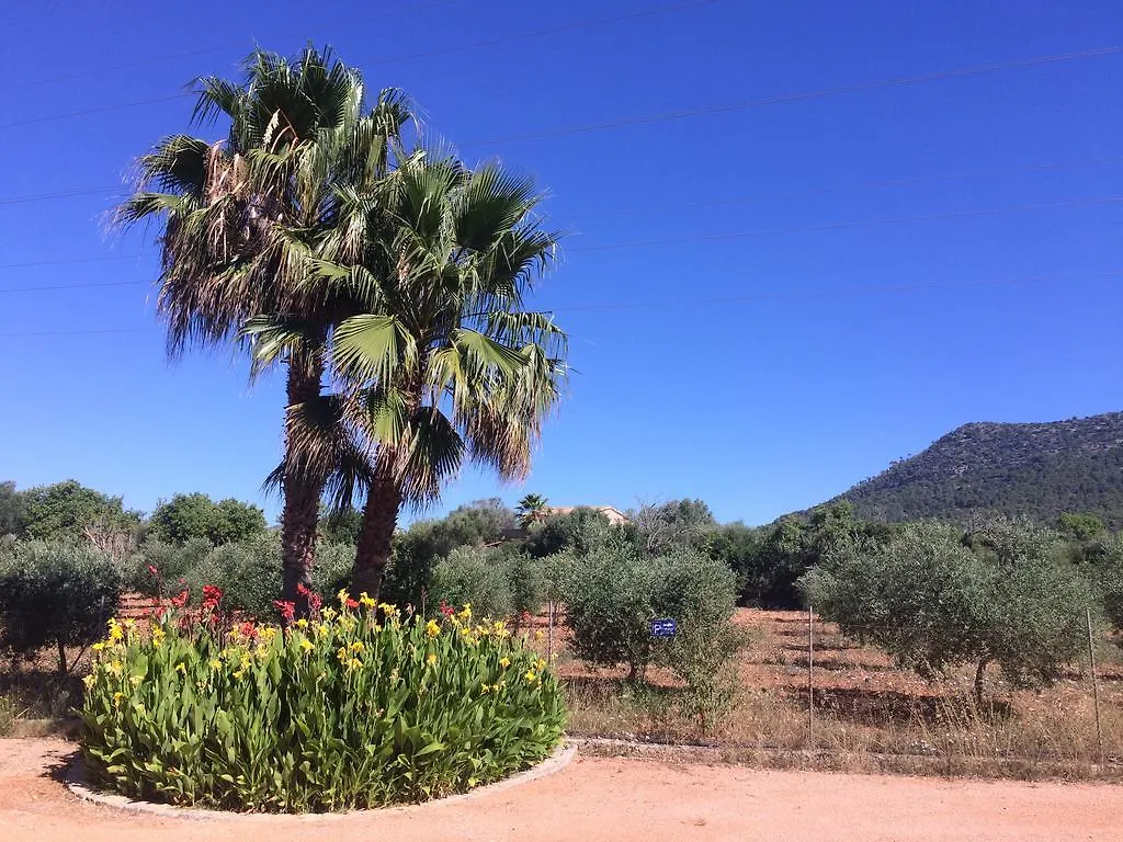 Villa Sampoli - Agroturismo Son Sampoli - Adults Only Llucmajor  Llucmajor (Mallorca)
