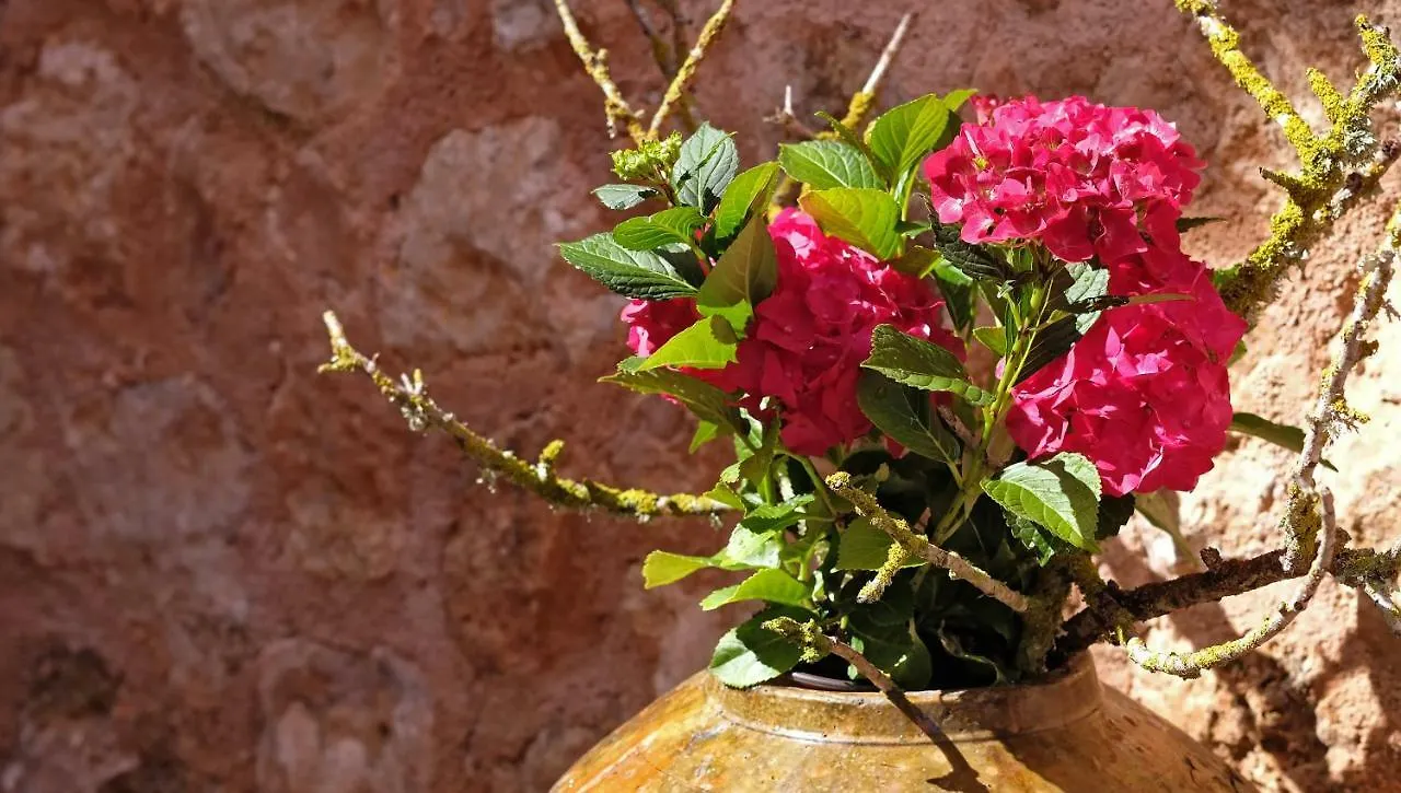Villa Sampoli - Agroturismo Son Sampoli - Adults Only Llucmajor  Hotel